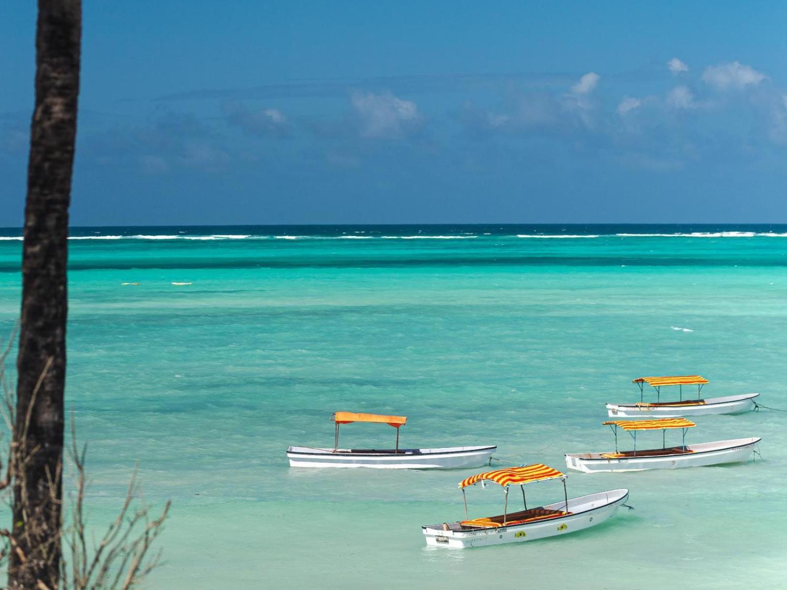 Shanuo Beach Bungalows Michamvi Kae Luaran gambar