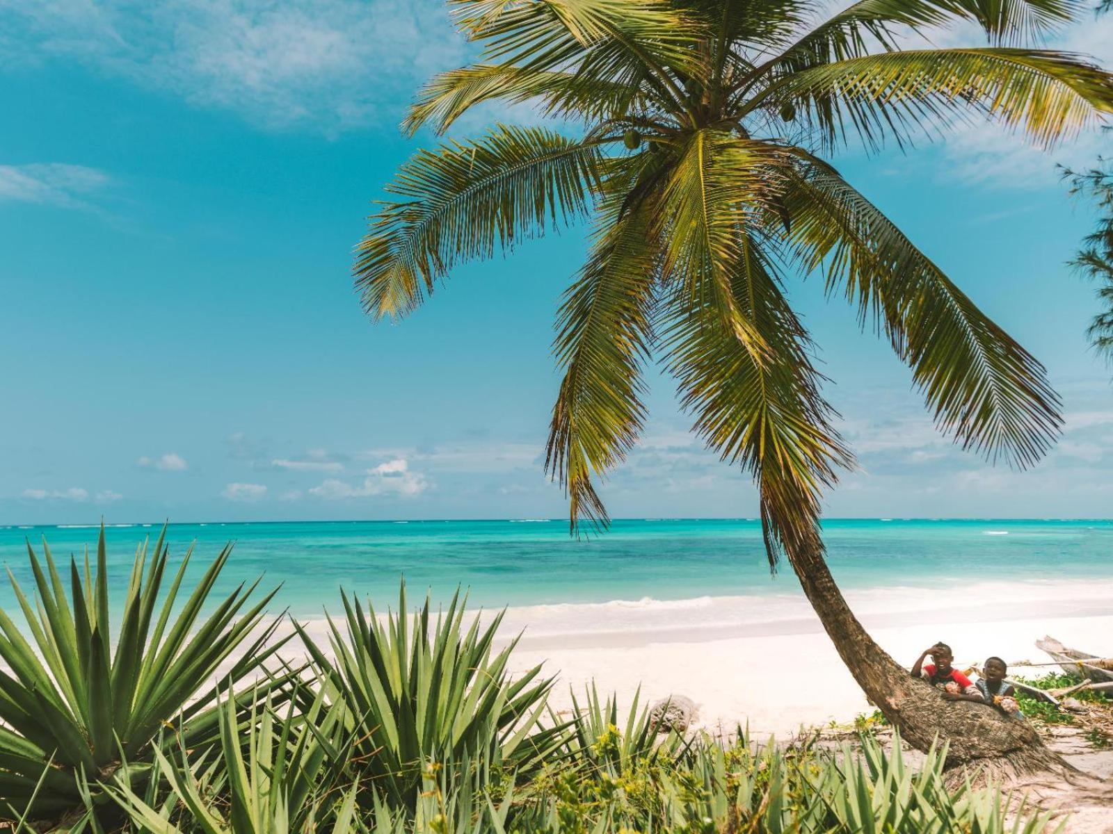 Shanuo Beach Bungalows Michamvi Kae Luaran gambar